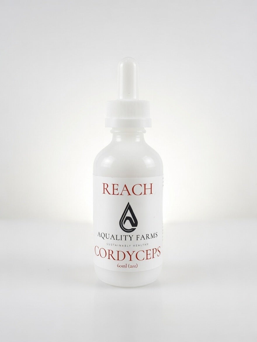 Reach - Cordyceps Ultrasonic Extract | Aquality Farms